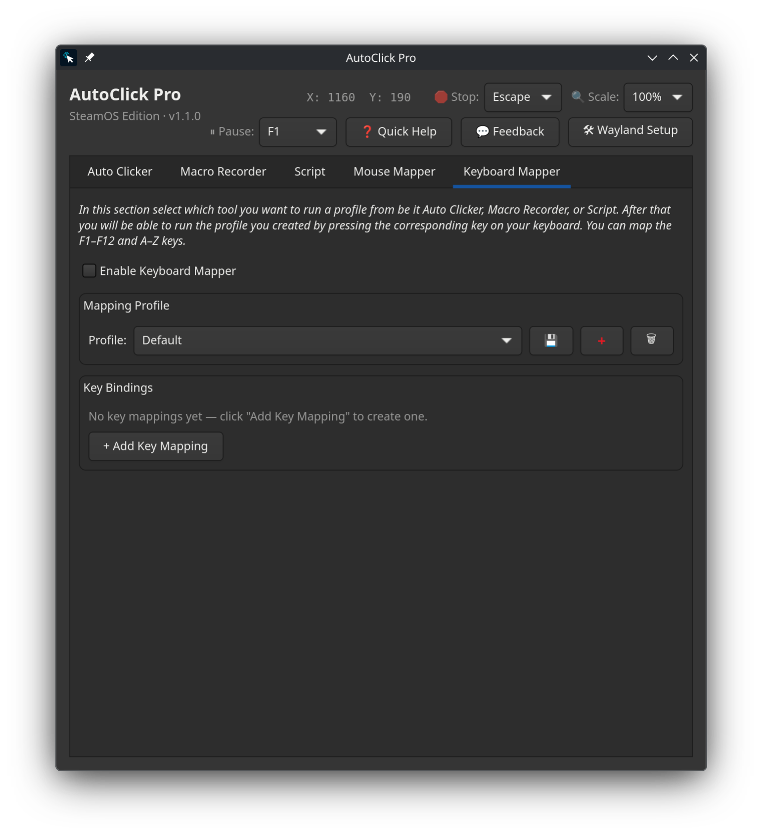 AutoClick Pro Keyboard Mapper tab on SteamOS and Linux mapping keyboard keys to saved auto clicker, macro, and script profiles